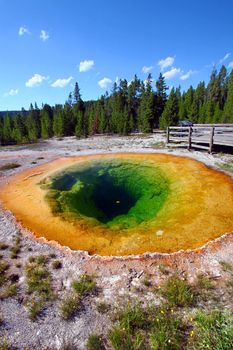 Bright colors of the Morning Glory Pool in Yellowstone National Park of Wyoming.