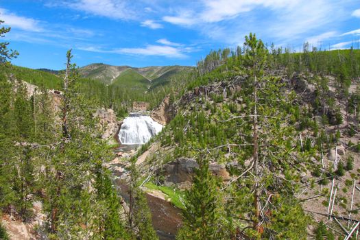 Gibbon Falls lows through the canyons of Yellowstone National Park in the United States.