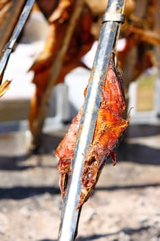 Roasting carp on a fire at a festival, carp on the jaw