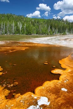 Bright orange colors of thermophilic bacteria in the Upper Geyser Basin of Yellowstone National Park.