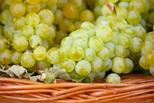 Ripe yellow grapes in a woven basket