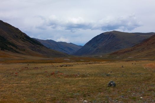 Altai mountains. Beautiful highland landscape. Russia. Siberia