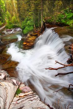 Beautiful waterfall flows through the pine forests of Glacier National Park in Montana.