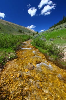 Pristine mountain stream flows through the Bighorn National Forest - USA.