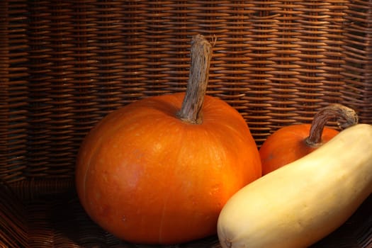 Two pumpkins and marrow squash inside wicker basket