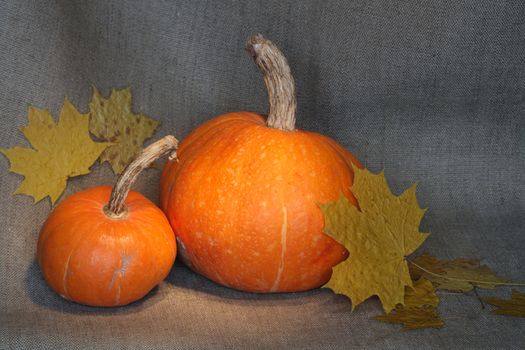 Two pumpkins and autumn leaves on background with canvas texture