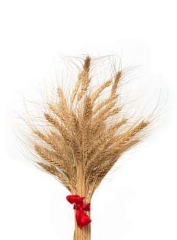 Bunch of wheat with red bow on white background