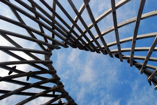 Birds on the lookout tower of helsinki's zoo, with the blue sky in the background, a play of shapes.