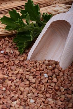 Buckwheat groats with a wooden deep spoon for packaging.