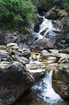 Cascade falls over mossy rocks