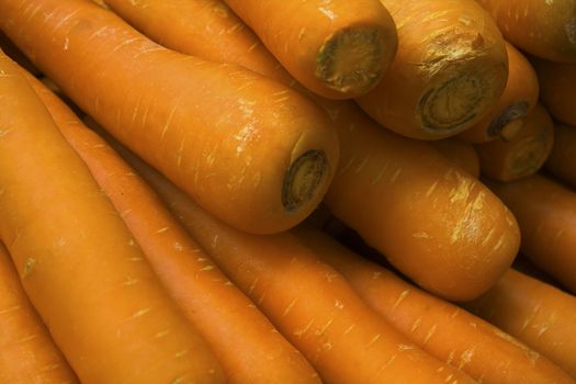 fresh young carrot on grass. 