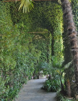 A botanical garden with many species of plants and trees