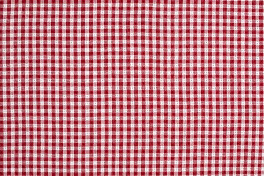 Red and White Checkered Picnic Blanket Tablecloth Detail
