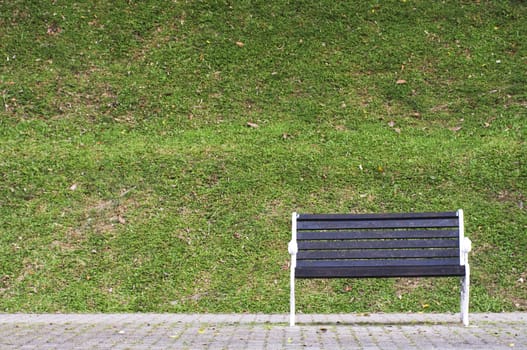 a single bench in a park, waiting for someone.