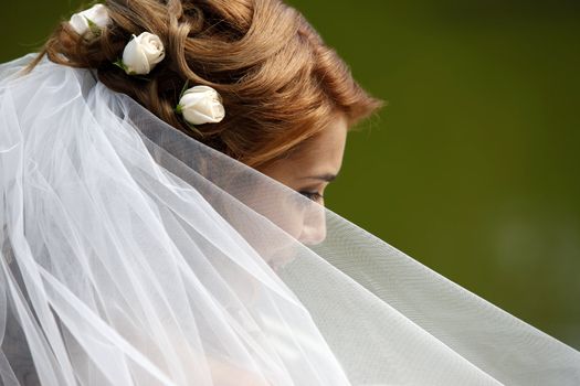 The beautiful bride on a green background