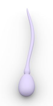 Sperm Cell. 3D rendered Illustration. Isolated on white.
