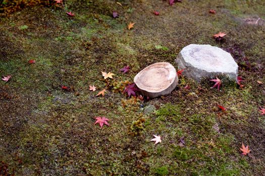 Maple leaves, a stone and a stub on moss in an autumn Japanese park

