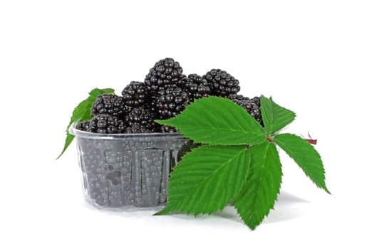 Fresh blackberries in plastic container on white background