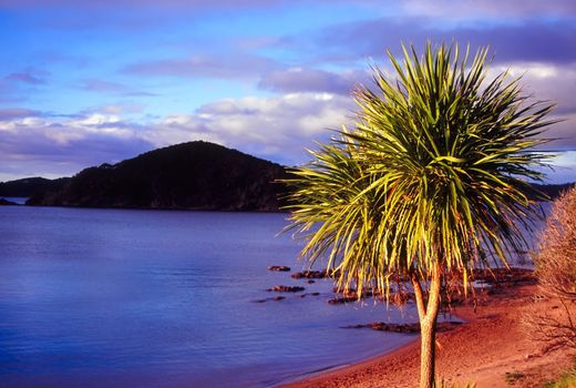 Evening light over the Bay of Islands in northern New Zealand.