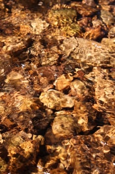 A calm creek riffle in northern Illinois.