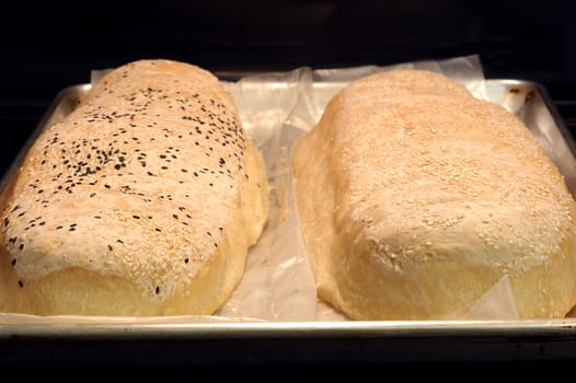two home made bread loafs fresh out of the oven colling on a cookie sheet