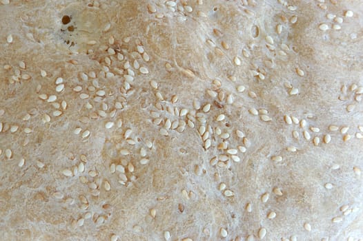 home made bread crust close up macro background