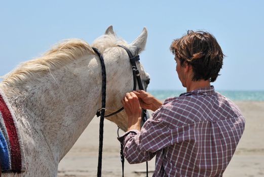 man making a bridle to his horse on a beach
