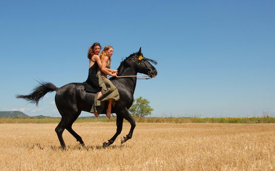 two beautiful young women on their black stallion in a meadow