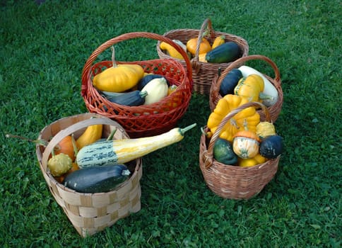 Fresh vegetables from a kitchen garden stand in baskets on is juicy to a green grass.