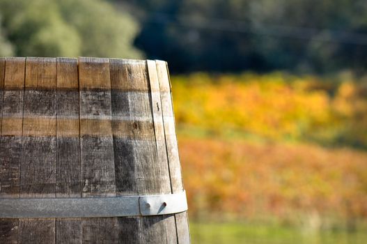 Wine Barrel in Autumn Fall in Scenic Napa Valley