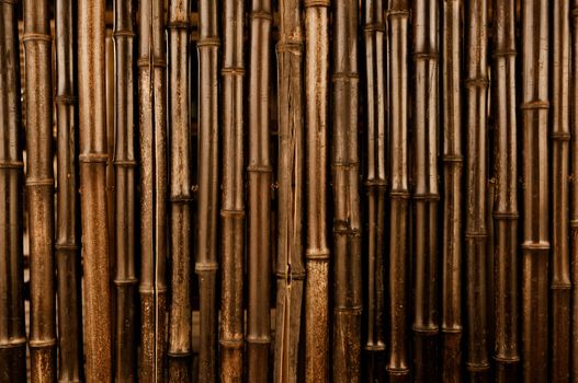 Bamboo Dark Background