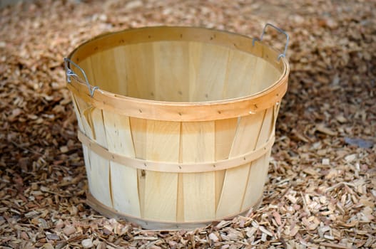 Fruit Basket on the Ground