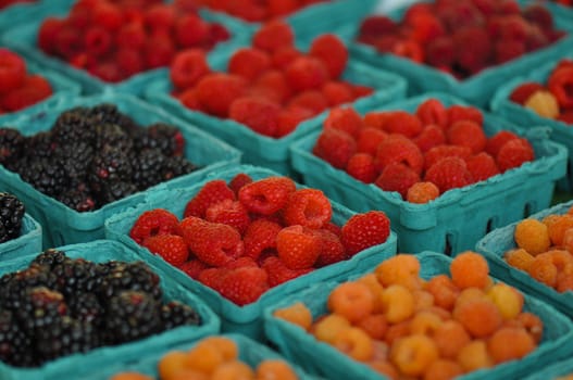 Delcious Berries Sold at the Market in Cartons