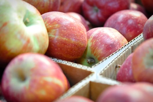 Apples at the Market