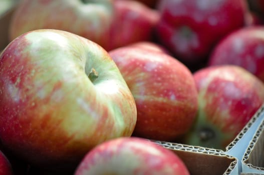 Apples at the Market