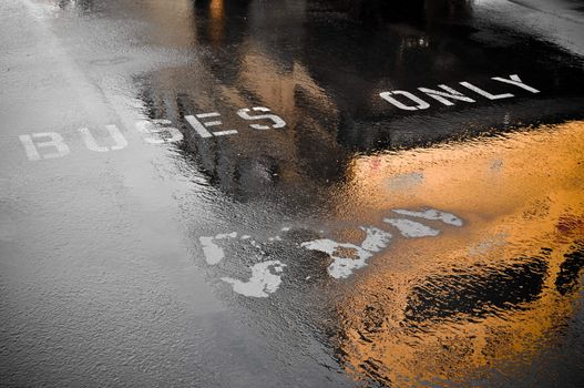 Buses Only Parking Spot Reflection to pick up children after rainy day