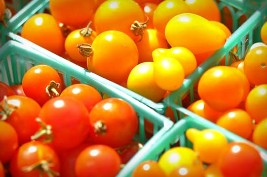 Cherry Tomatoes at the Market