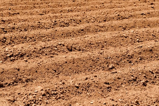 Plowed Dirt for Agriculture Background