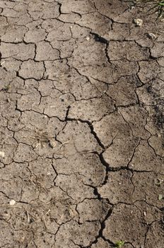 Brown Cracked Mud or Dirt used as a Background