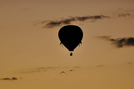 Hot Air Balloon
