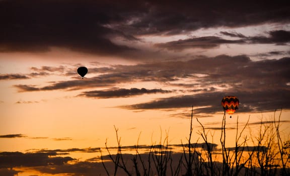 Hot Air Balloon
