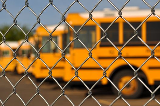 Multiple School Bus with Blue Sky background behind fence