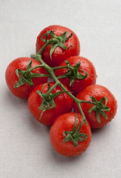 truss tomatoes on linen