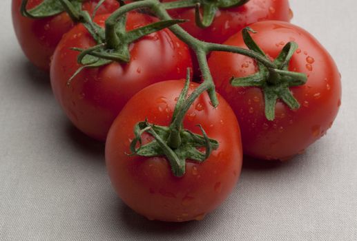 truss tomatoes on linen