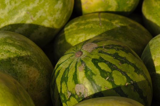Delicious Watermelon ready to be purchased at the market