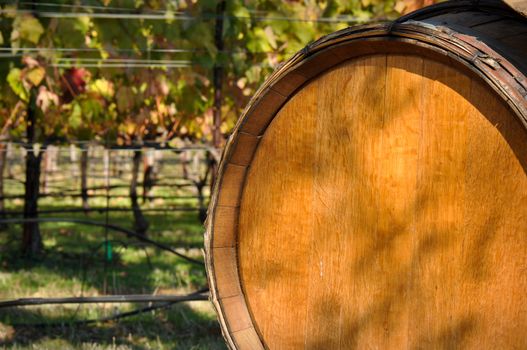 Barrel used to store vintage Wine