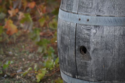 Barrel used to store vintage Wine