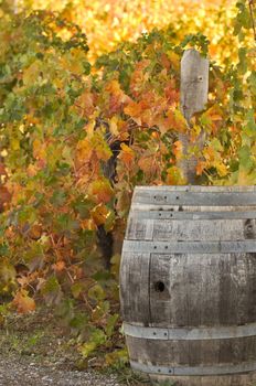 Barrel used to store vintage Wine