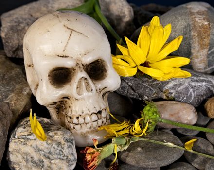 A human skull sitting on a pile of rocks with dying flowers
