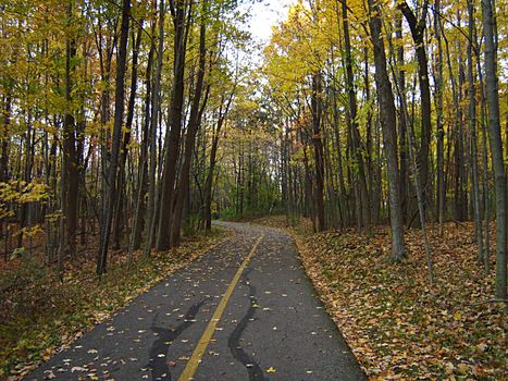 A photograph of a walking trail in autumn.